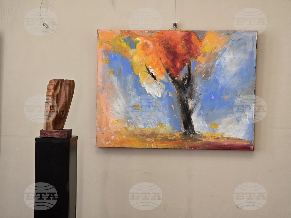 Плевен - Къща на художниците - изложба