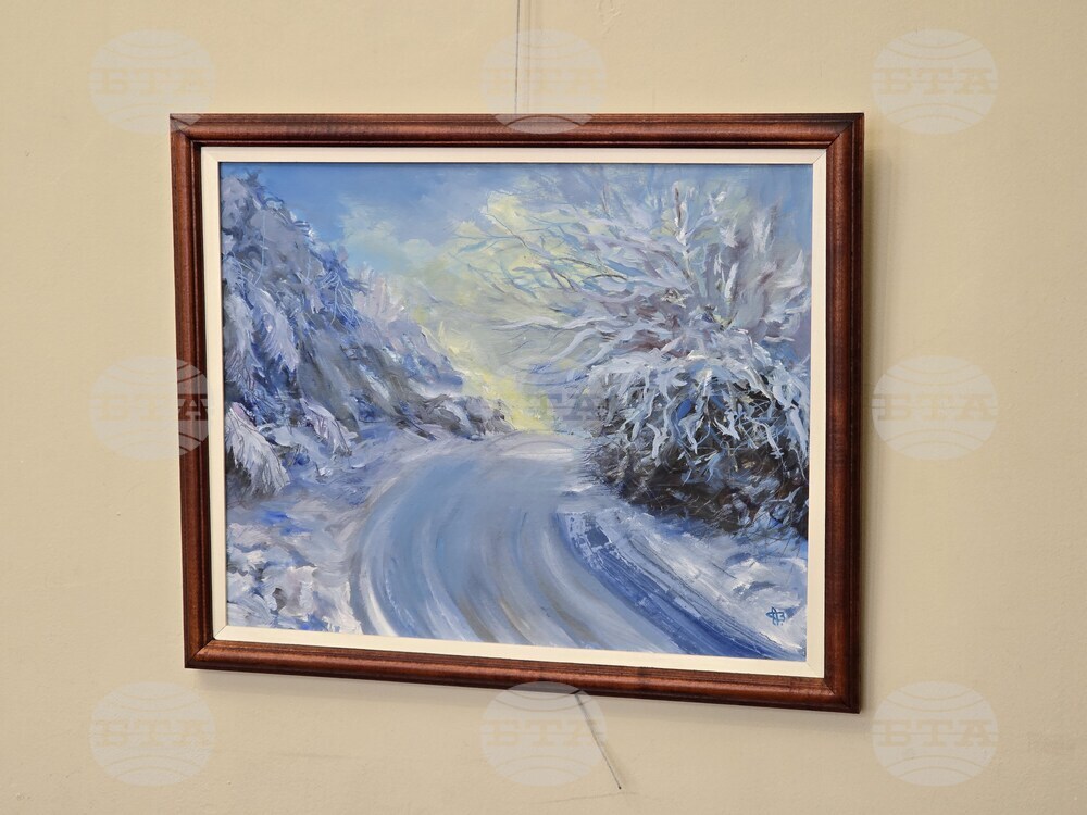 Плевен - Къща на художниците - изложба