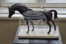 Плевен - Къща на художниците - изложба