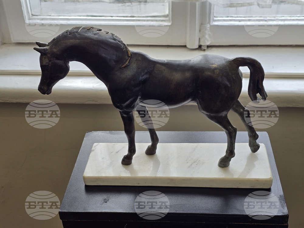 Плевен - Къща на художниците - изложба