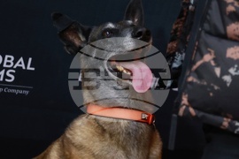 „Мамник“ - сериал - премиера