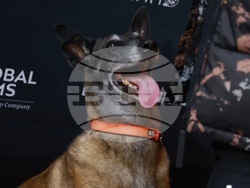 „Мамник“ - сериал - премиера