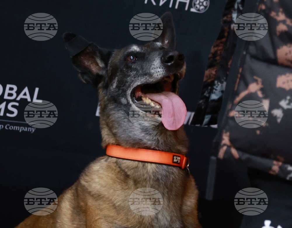 „Мамник“ - сериал - премиера