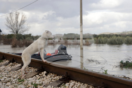Albania Extreme Weather