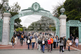 Cal Berkeley International Enrollment