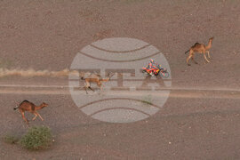 Pictures of the Week Global Photo Gallery