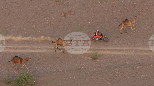 Катарецът Насер Ал-Атия спечели шестия етап на Рали Дакар, двоен триумф за Дачия Сандрайдърс
