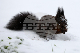 Зимна обстановка