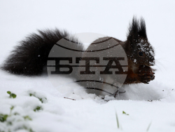 Зимна обстановка