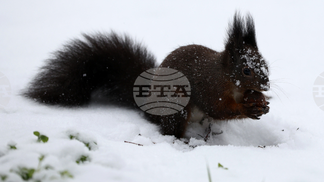 Прогноза за времето