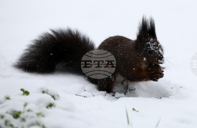 Прогноза за времето