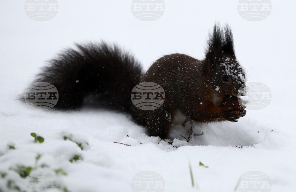 Зимна обстановка