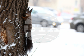 Зимна обстановка