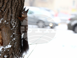 Зимна обстановка