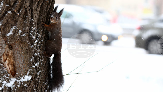 Прогноза за времето