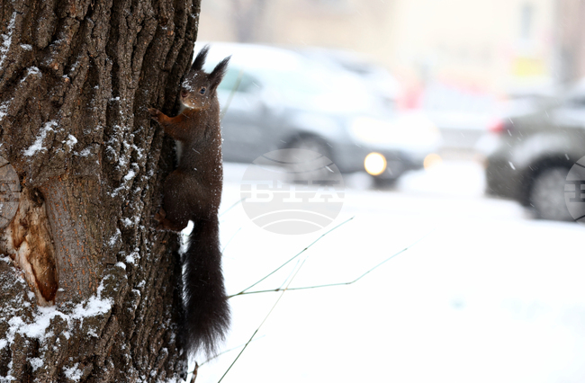 Прогноза за времето