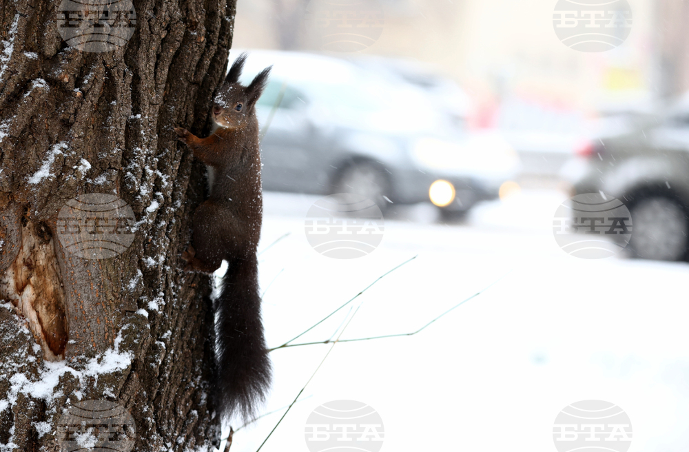 Зимна обстановка