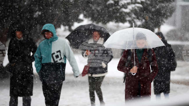 Обявите за работа в България са намалели с 33 на сто през декември на месечна база, сочи анализ