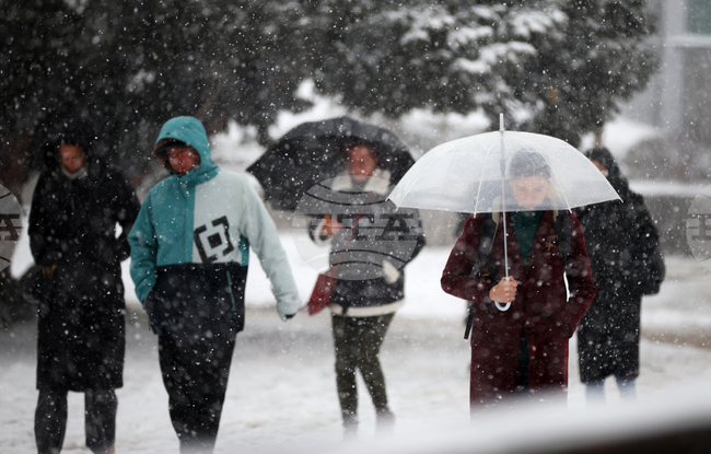 Обявите за работа в България са намалели с 33 на сто през декември на месечна база, сочи анализ