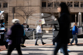 Trump White House Ballroom