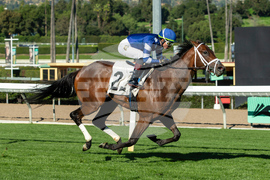 Santa Anita Horse Racing