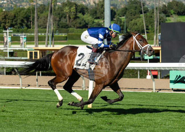 Santa Anita Horse Racing