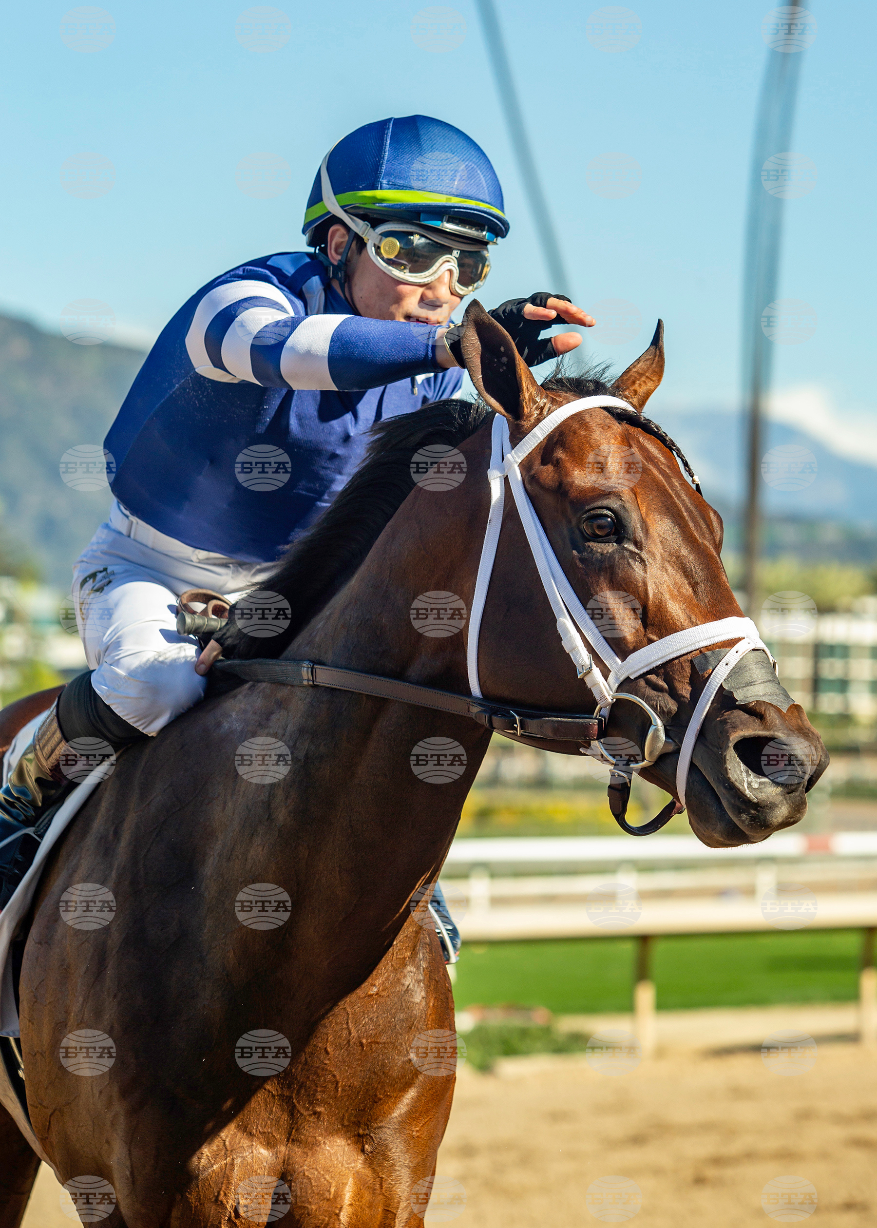 Santa Anita Horse Racing