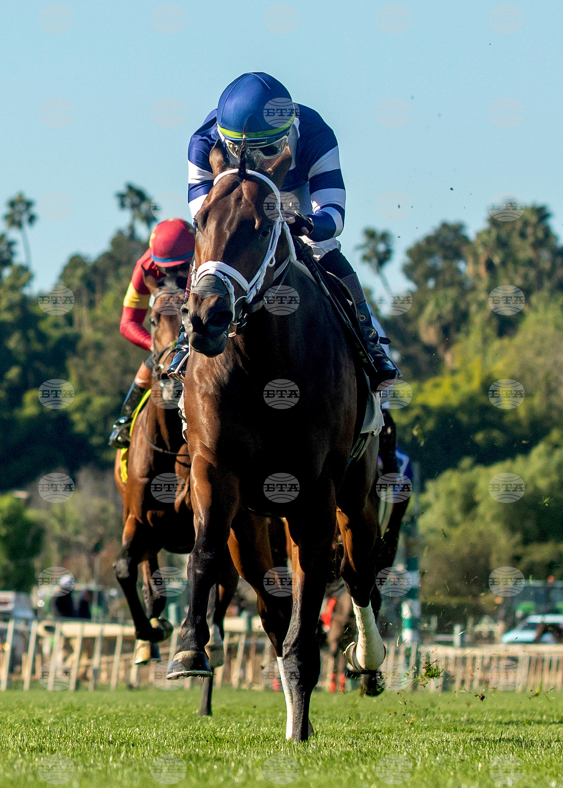 Santa Anita Horse Racing