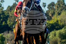 Santa Anita Horse Racing