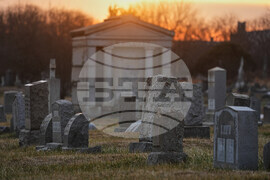 Stolen Graveyard Bones