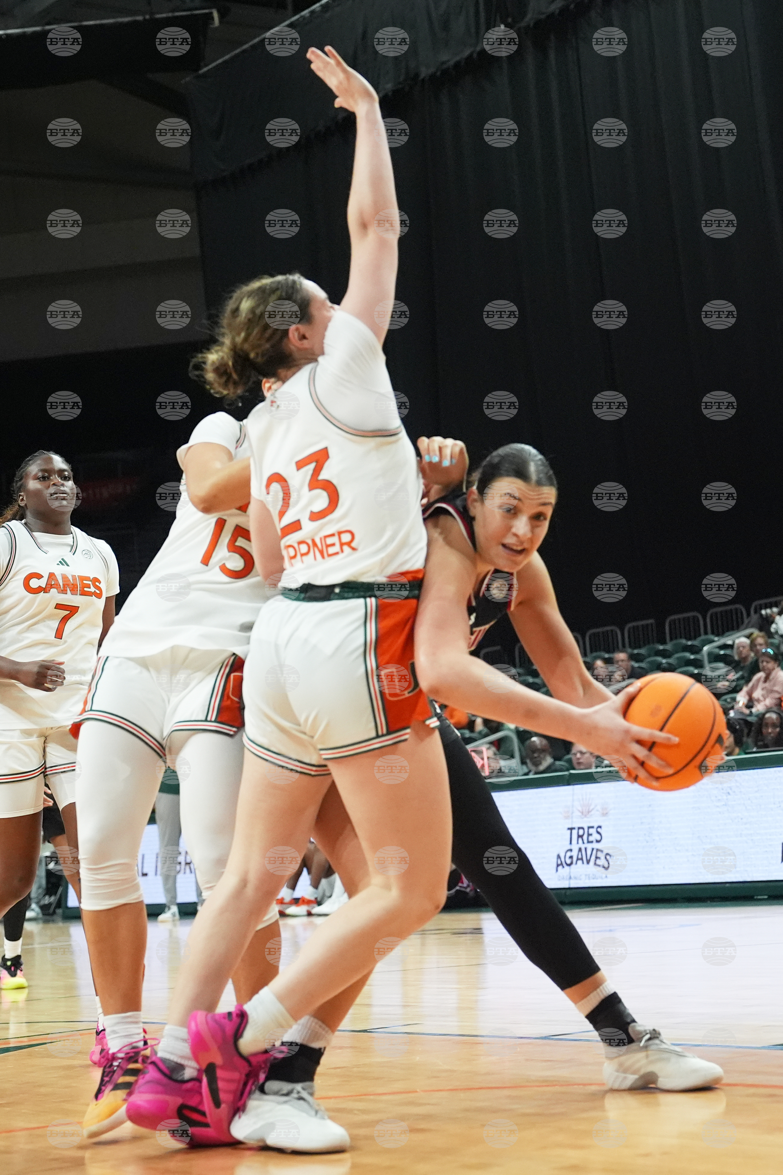 Louisville Miami Basketball