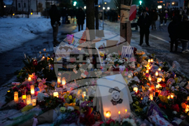 Immigration Enforcement Minnesota