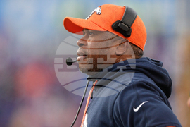 Ravens Coaching Search