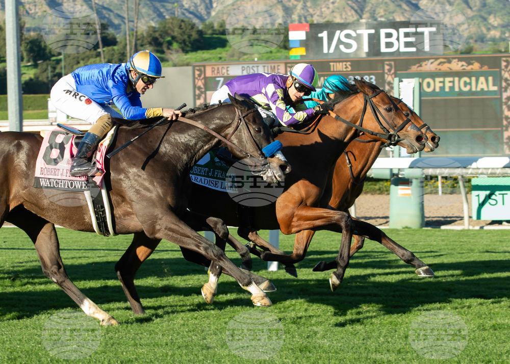 Santa Anita Horse Racing