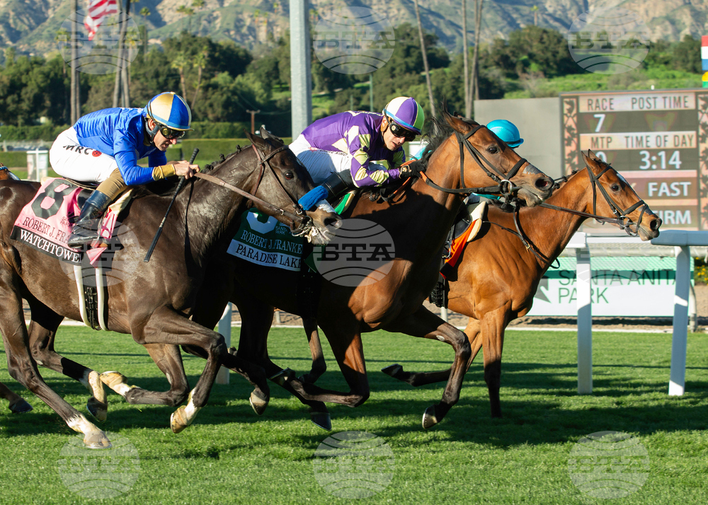 Santa Anita Horse Racing
