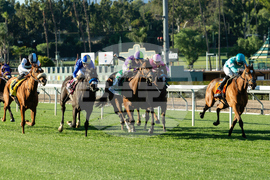 Santa Anita Horse Racing