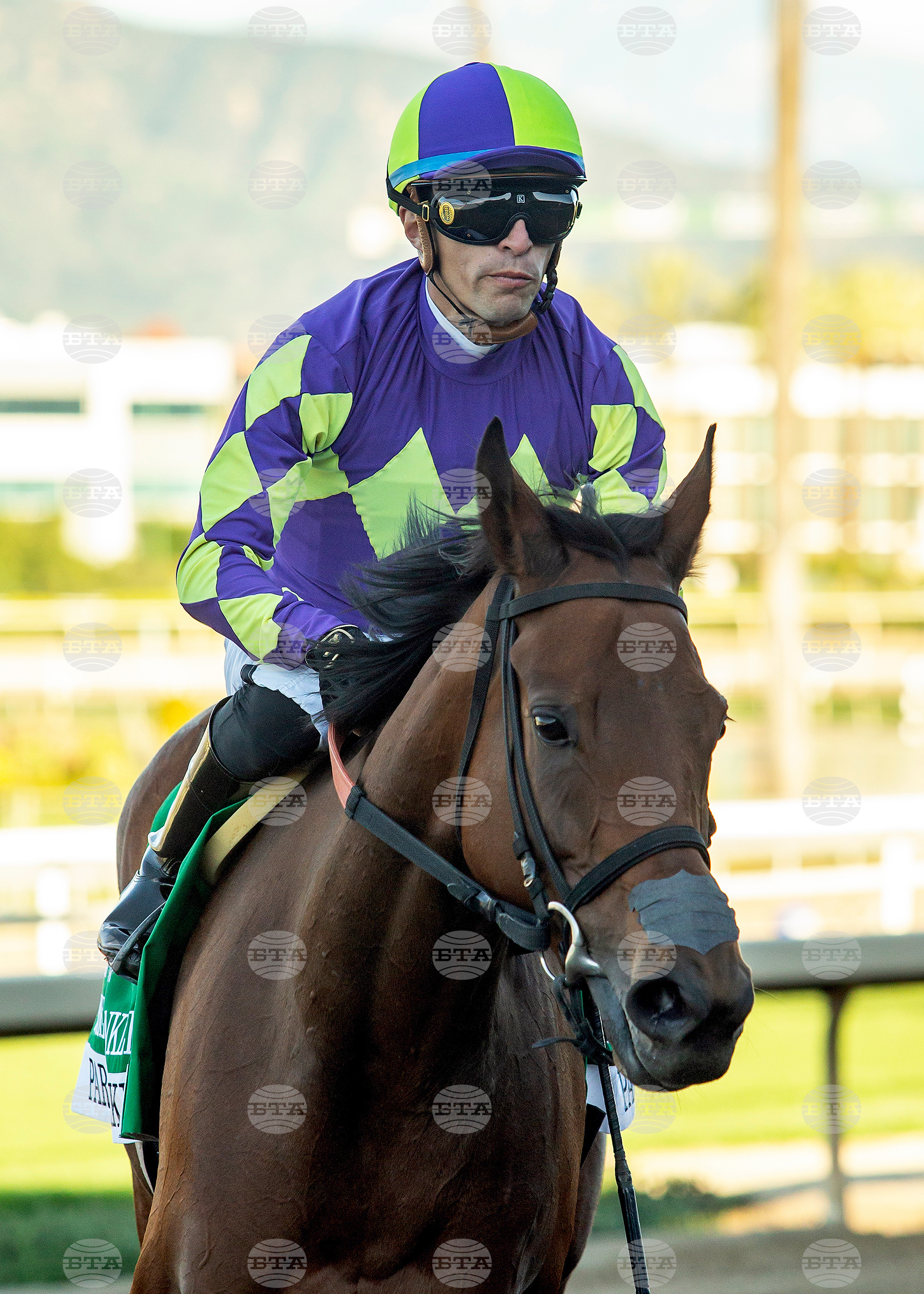 Santa Anita Horse Racing