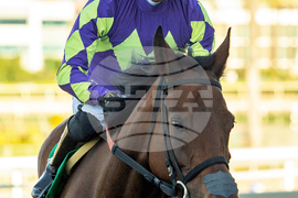 Santa Anita Horse Racing