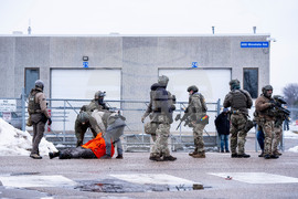 Federal Enforcement Immigration Minnesota