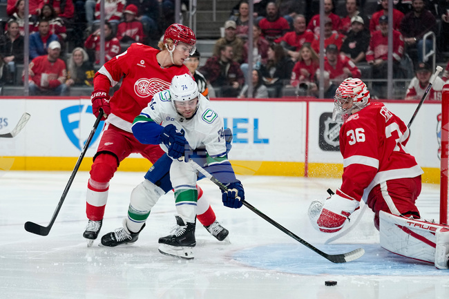 Canucks Red Wings Hockey