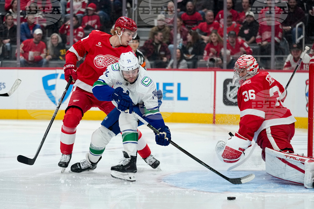 Canucks Red Wings Hockey