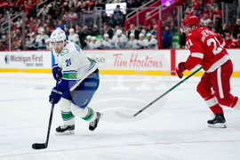 Canucks Red Wings Hockey