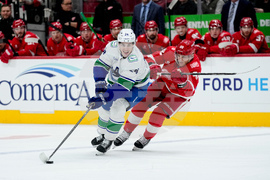 Canucks Red Wings Hockey