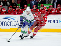 Canucks Red Wings Hockey