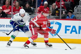 Canucks Red Wings Hockey