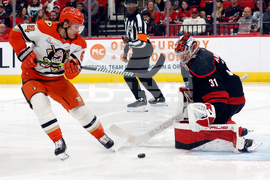 Ducks Hurricanes Hockey