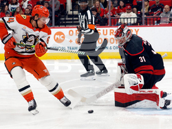 Ducks Hurricanes Hockey