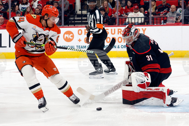 Ducks Hurricanes Hockey