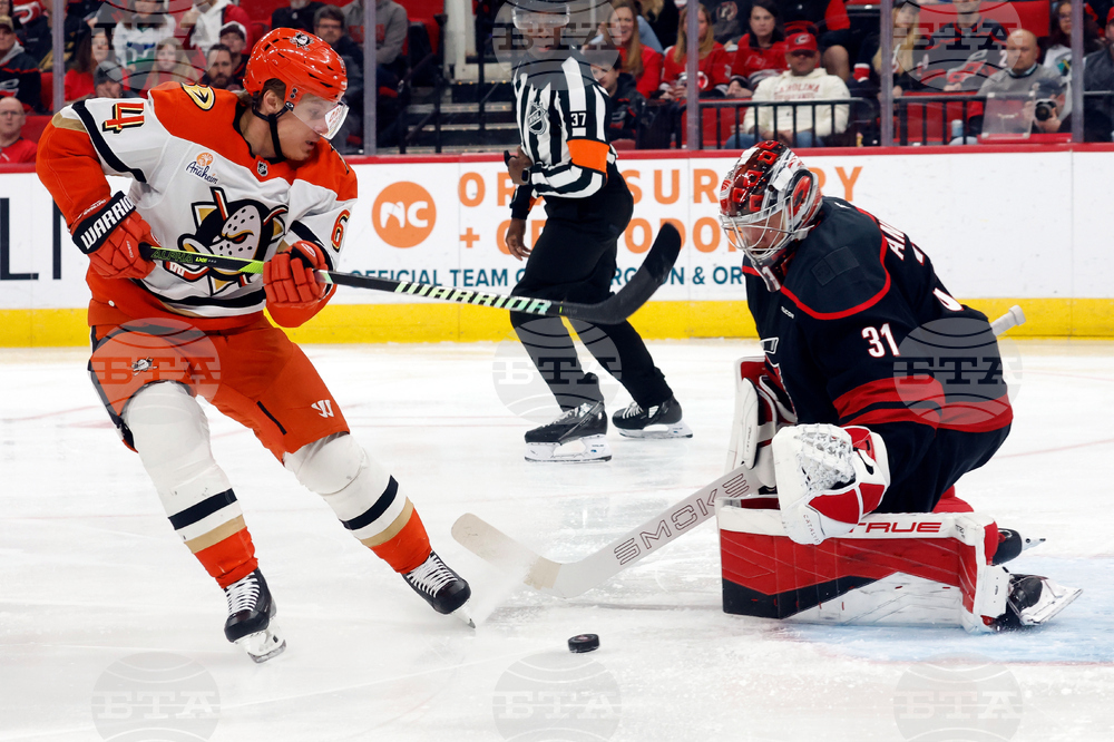 Ducks Hurricanes Hockey