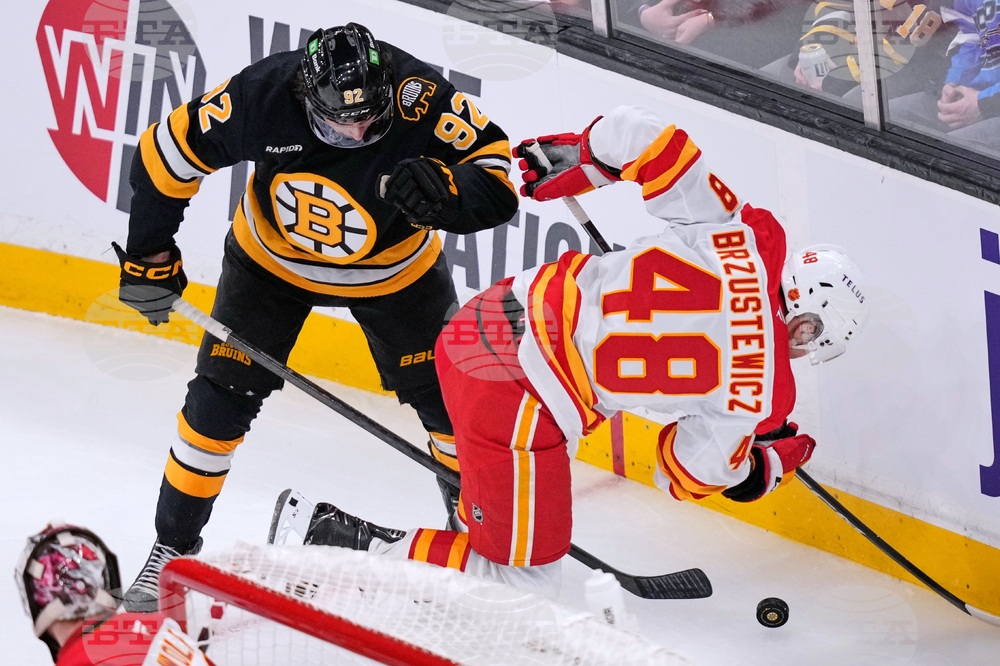 Flames Bruins Hockey